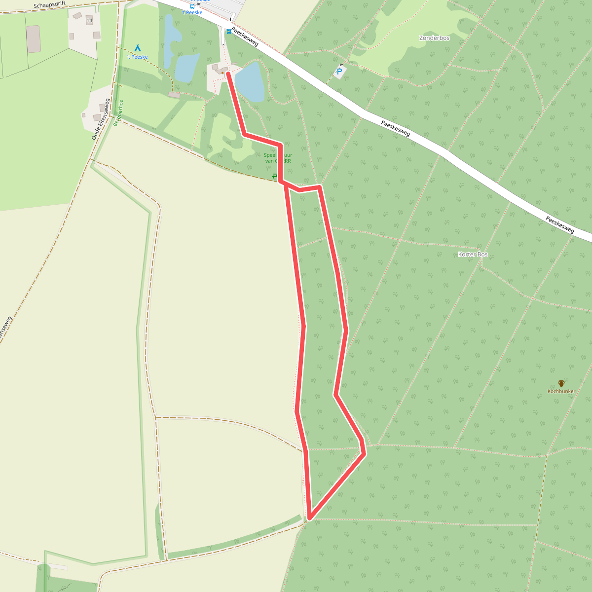 Buggyroute van OERRR in het Bergherbos