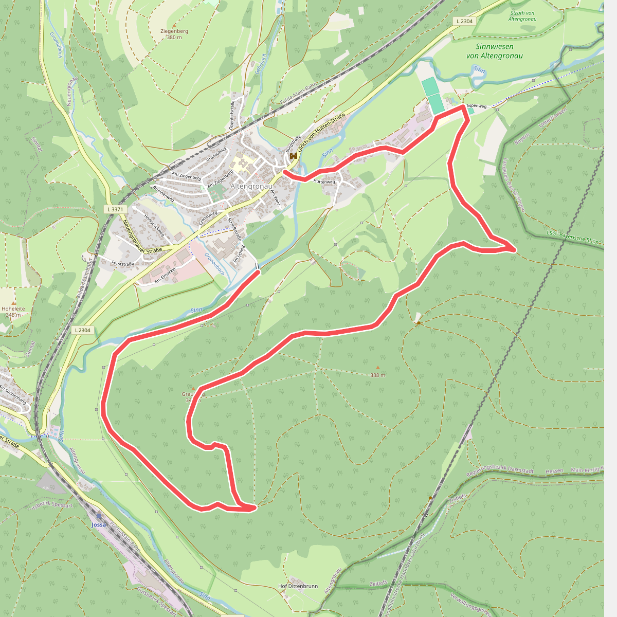 Altengronau - Rundweg am Grauberg - Tanne
