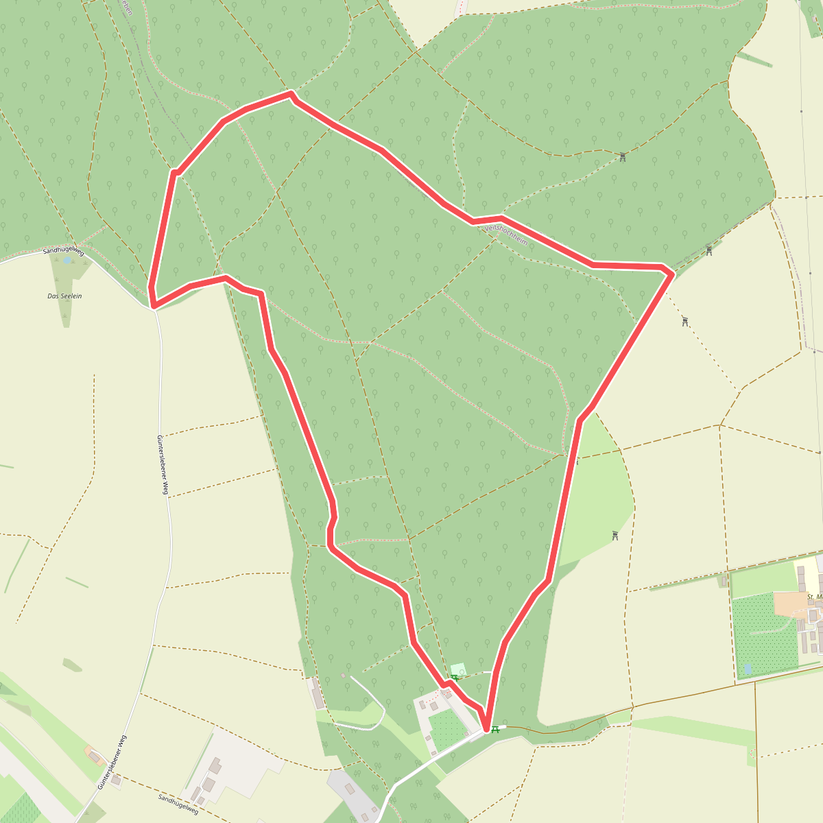 Eichhörnchen im Edelmannswald
