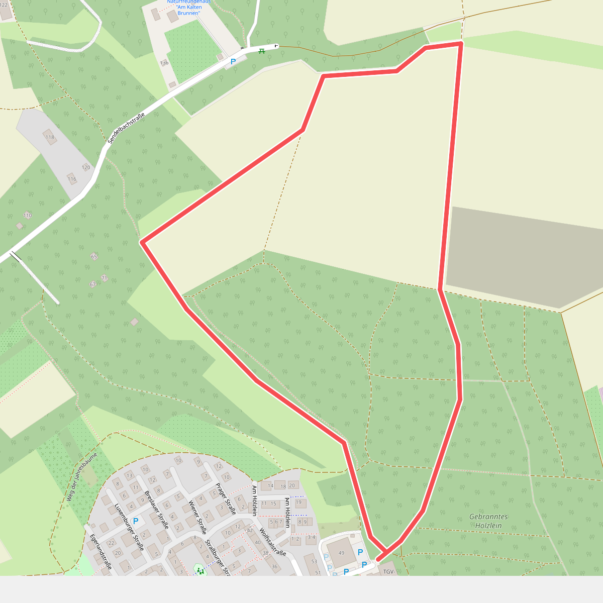 Nordic Walking "am gebrannten Hölzlein"