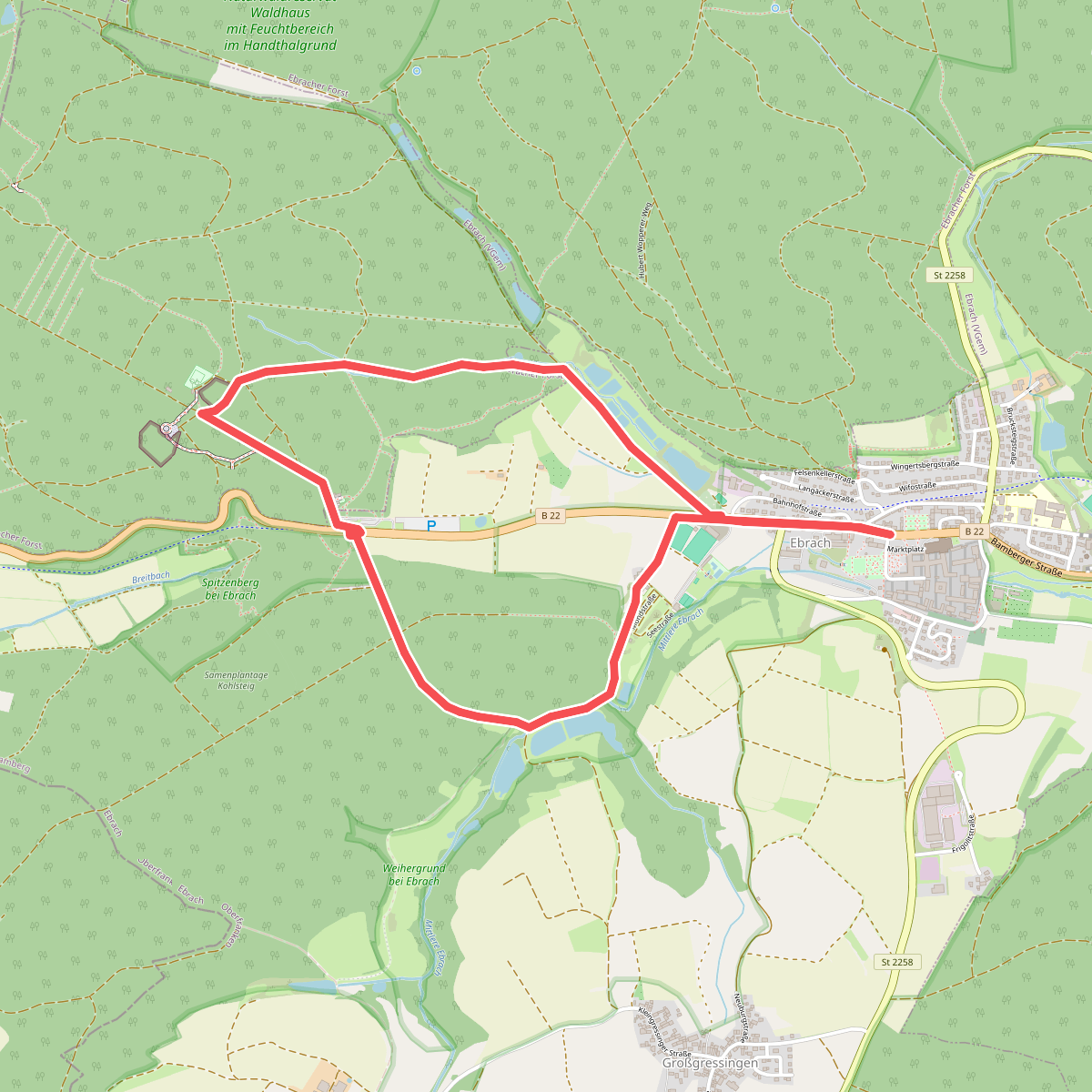 Rundweg "Rund um den Baumwipfelpfad"