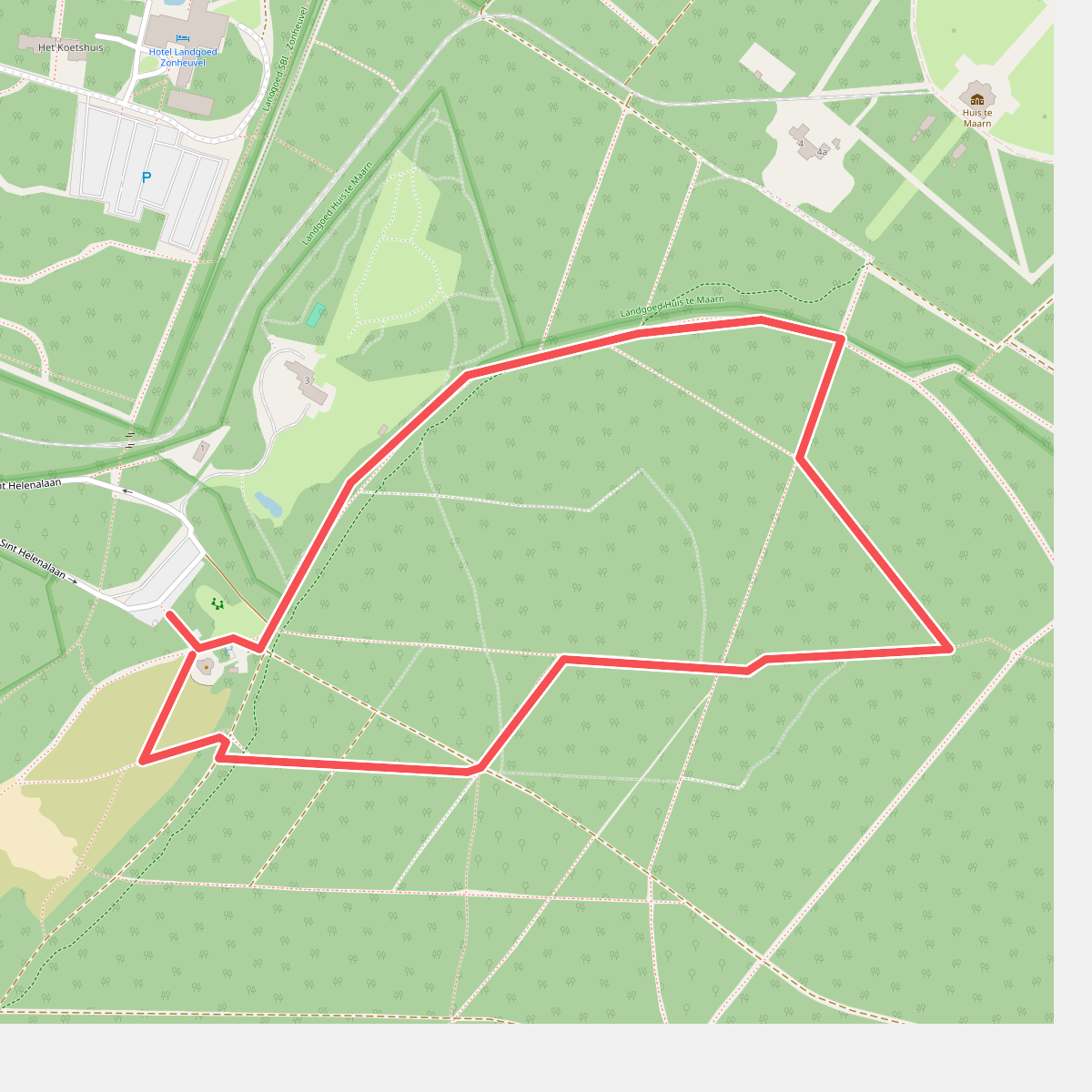 Rondje Helenaheuvel in de Kaapse Bossen