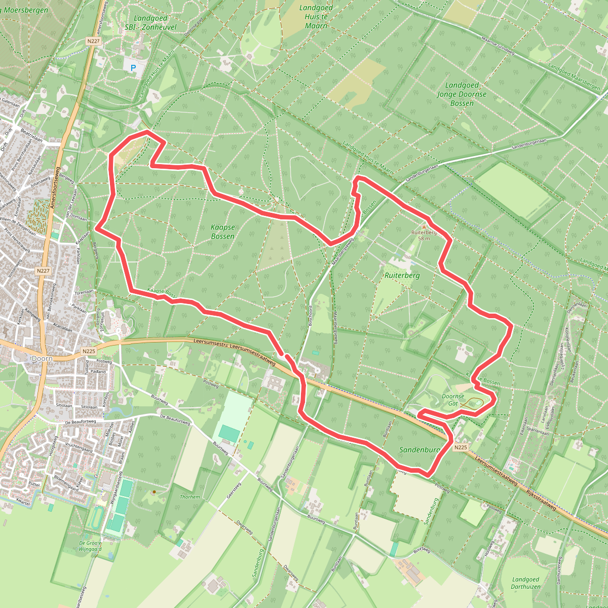 Wandelroute Hoogtepunten Kaapse Bossen - Doorn