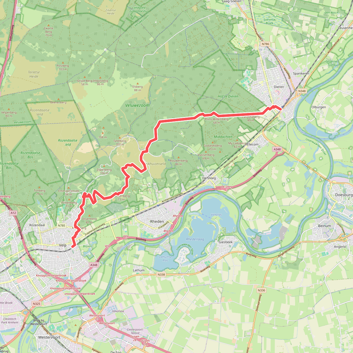 NS-wandeling Veluwezoom