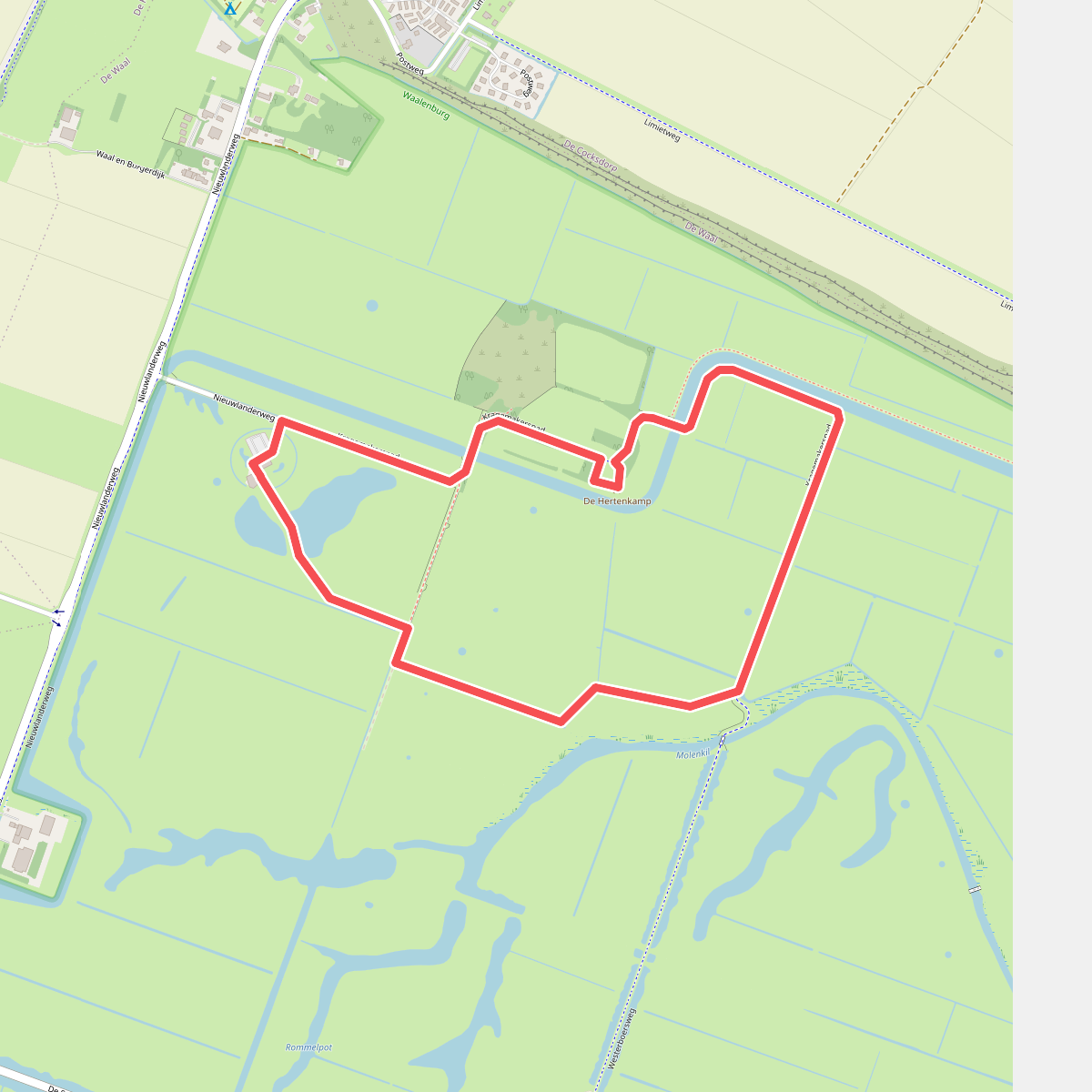 Loopie Waalenburg - Texel