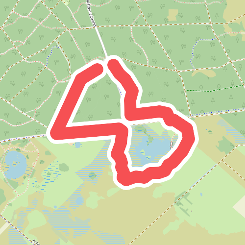 Familiepad Noordenveld bij Dwingelderveld