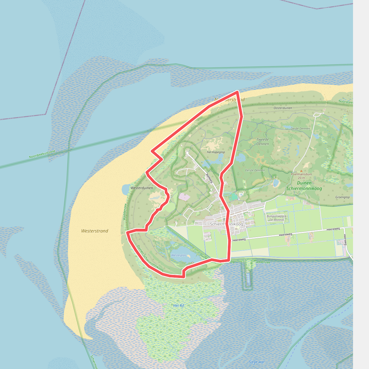 Winterwandeling door duinen, strand en bos op Schiermonnikoog 