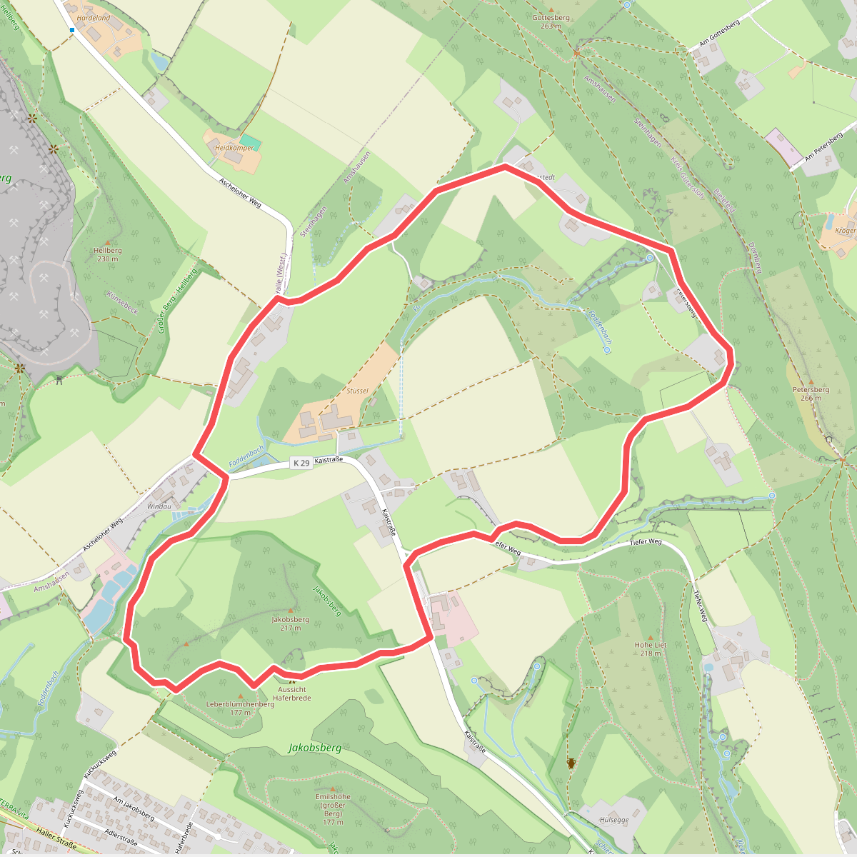 Leberblümchenweg