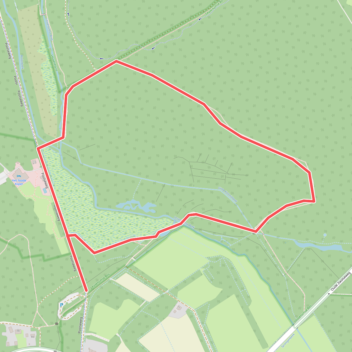 Ommetje van OERRR in Leuvenumse bossen