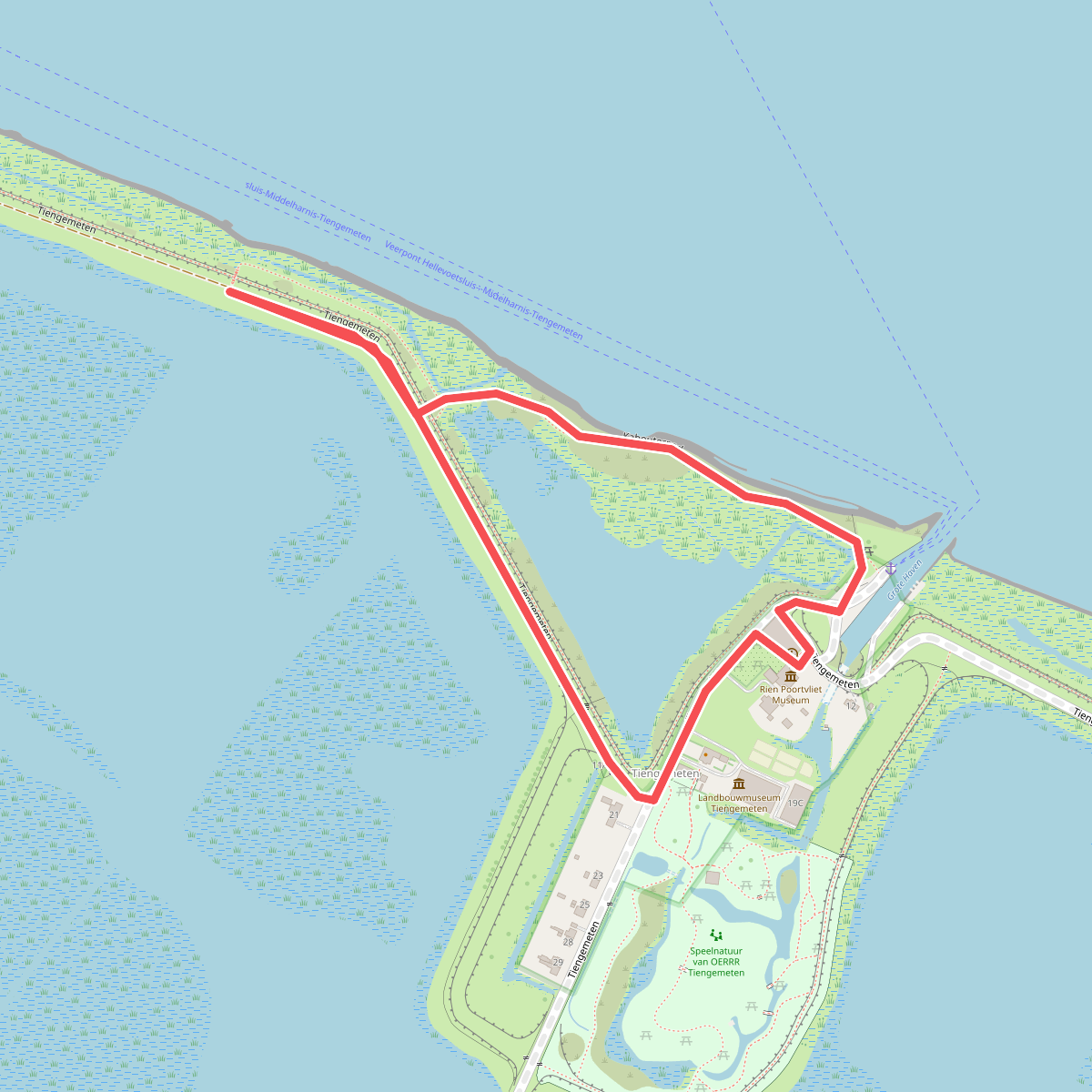 Blauwborstroute op Tiengemeten