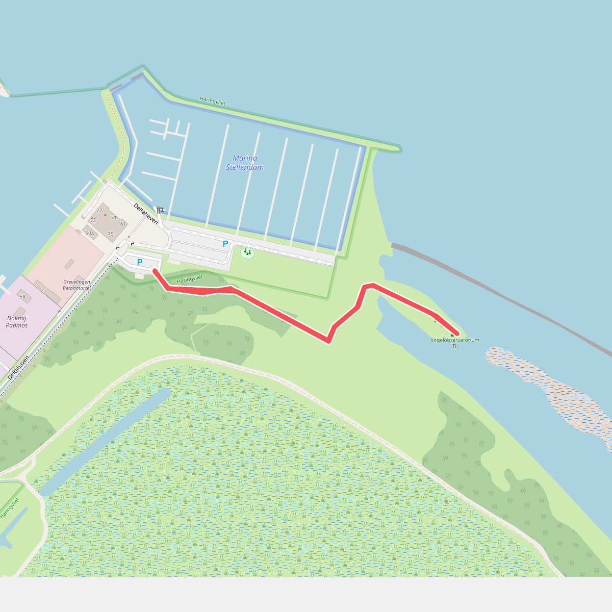Wandelroute naar Vogelobservatorium Tij, Haringvliet