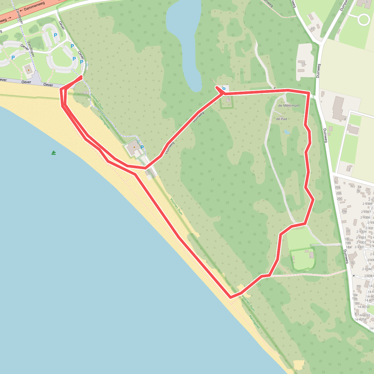 Wandelroute Quackstrand, Voorne-Putten