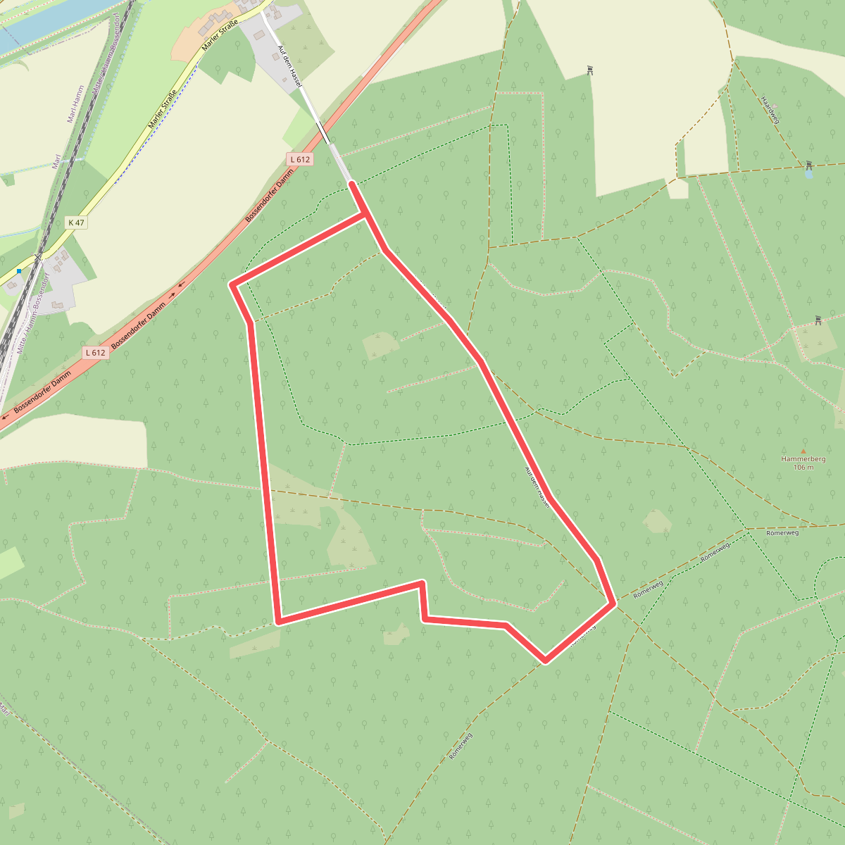 Auf dem Hassel Rundweg A1