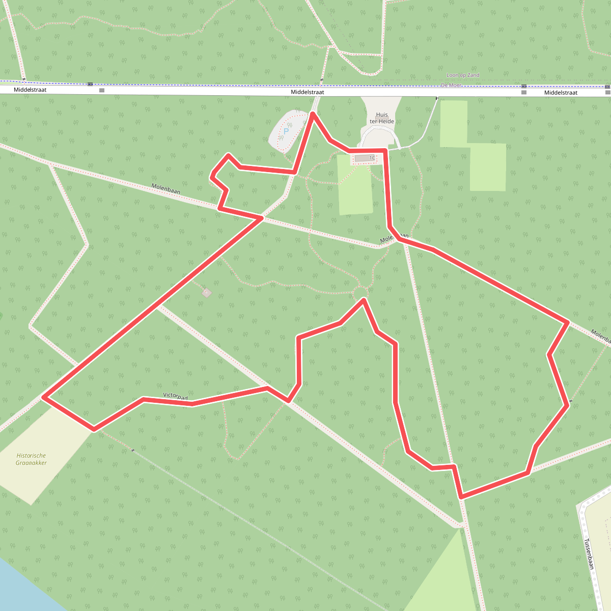 Wandelroute over natuurbegraafplaats Huis ter Heide