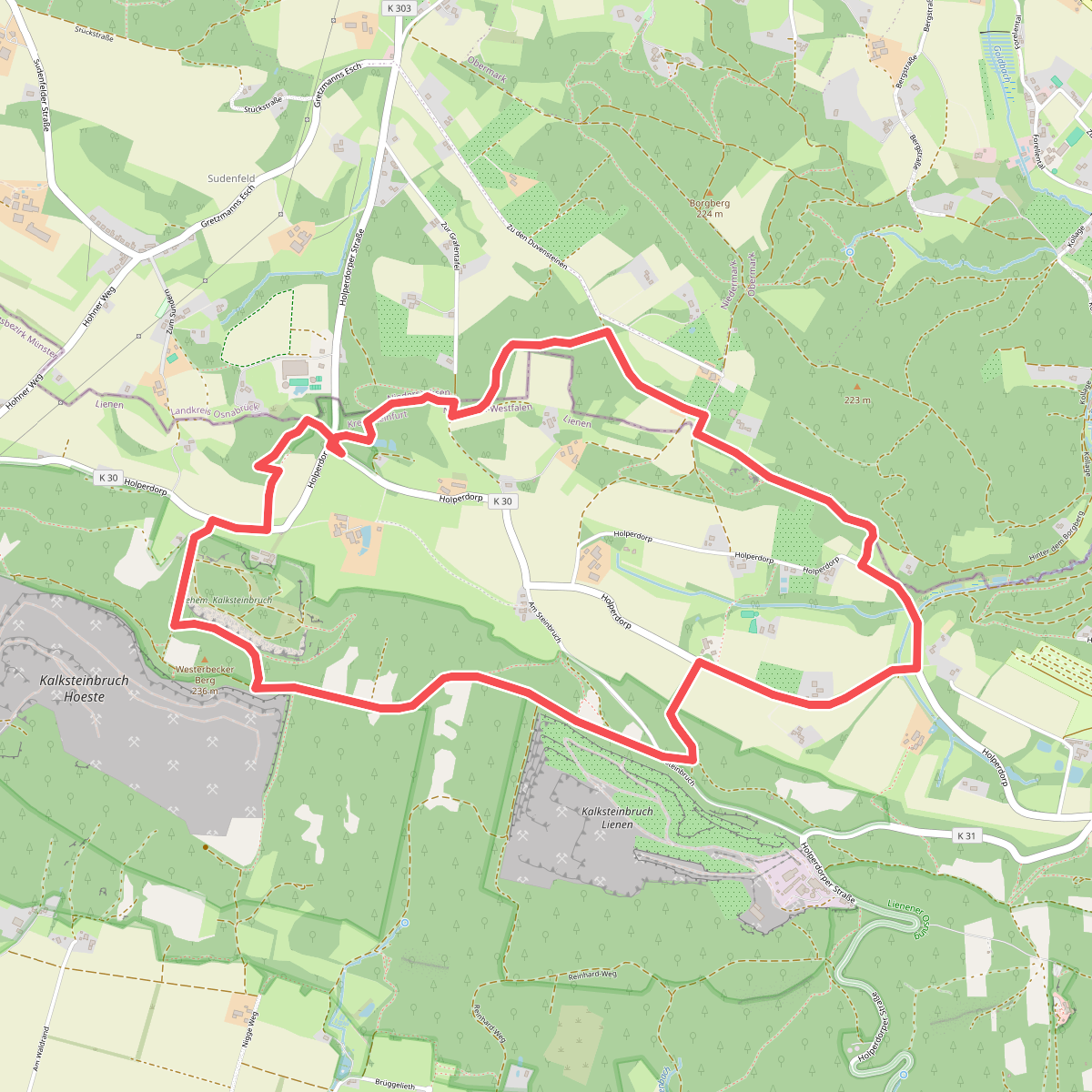 A12 Lienen