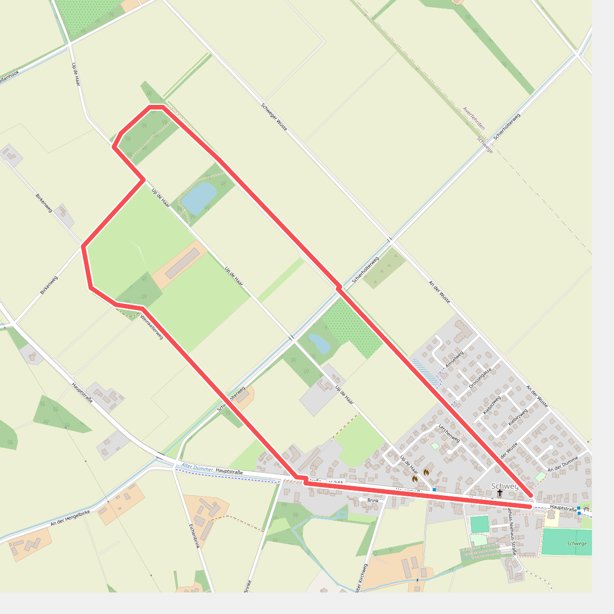 TERRA.track "Schweger Wald"