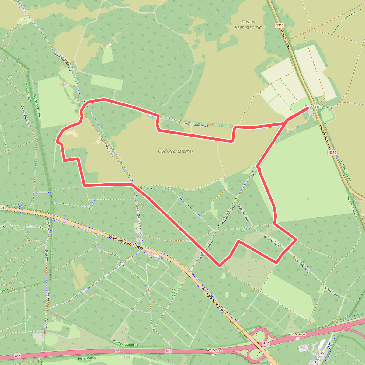 Hardlooproute Planken Wambuis, vlak bij Ede
