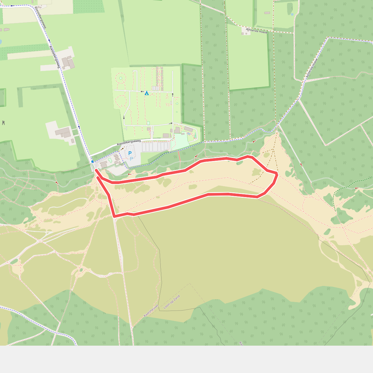 Speurtocht Loonse en Drunense Duinen 