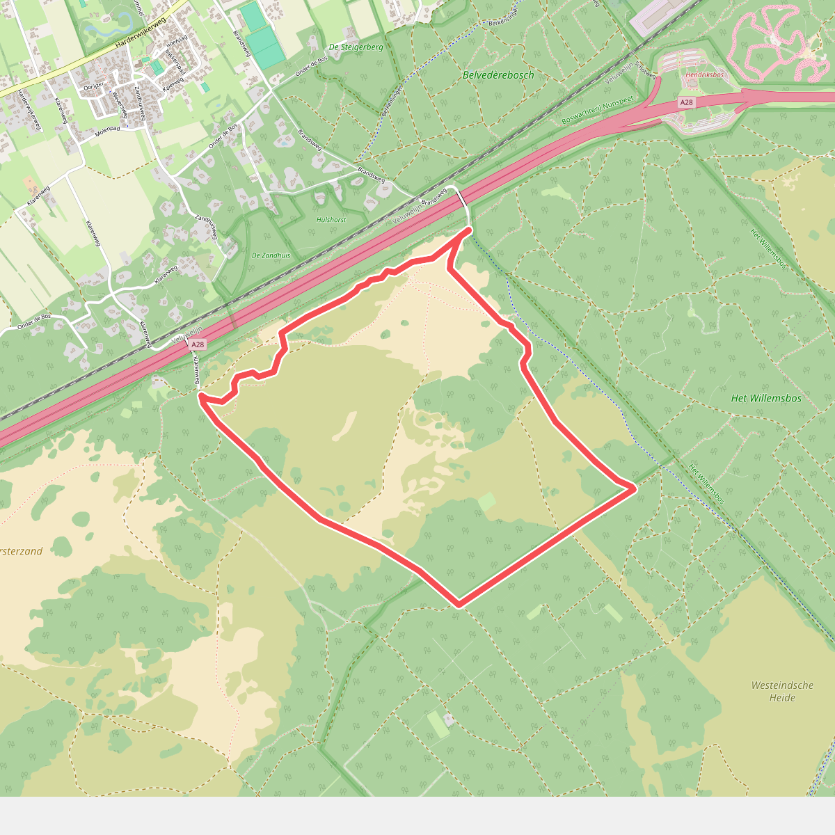 Stuifzand- en heidewandeling rond het Hulshorsterzand