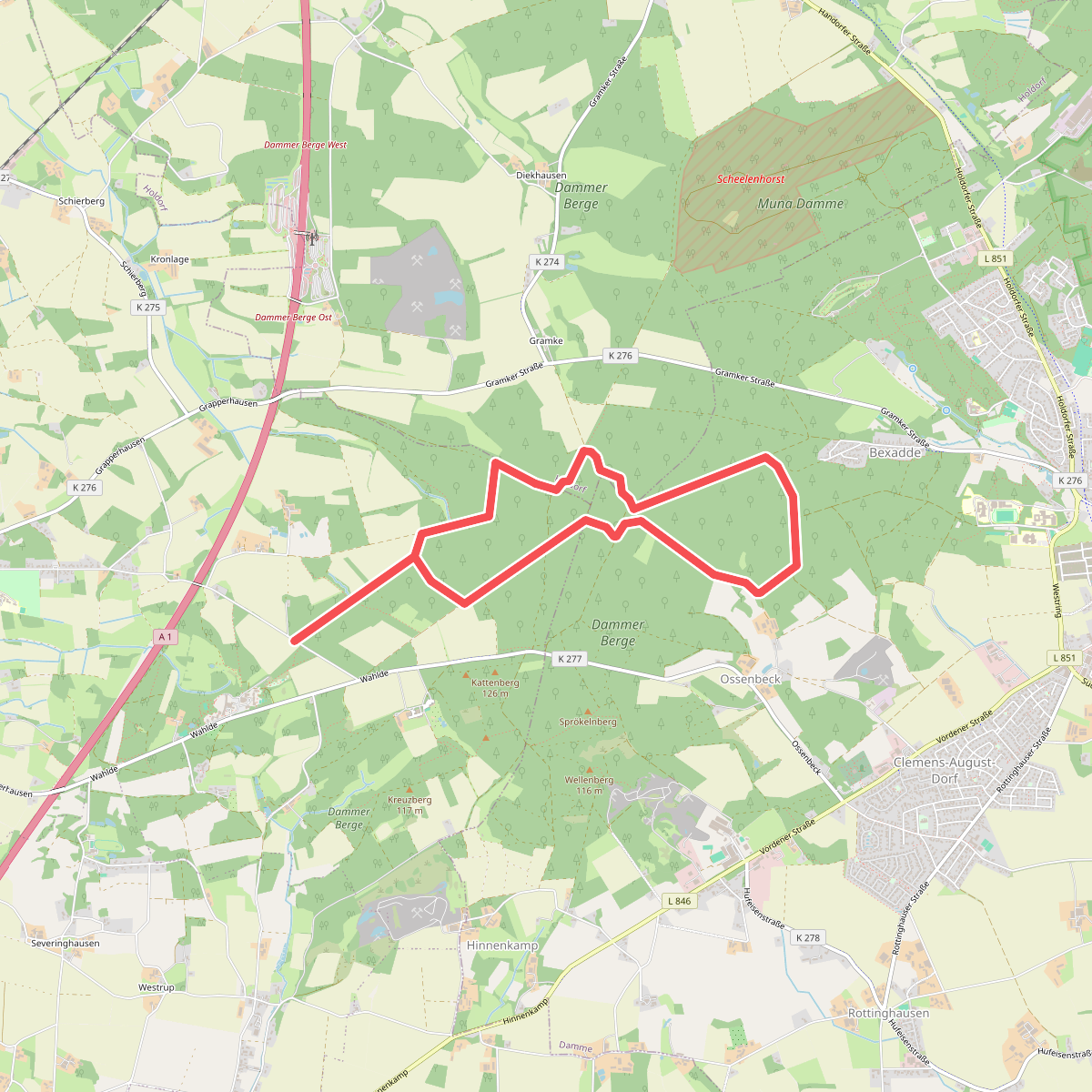 Nordic-Walking-Runde 9