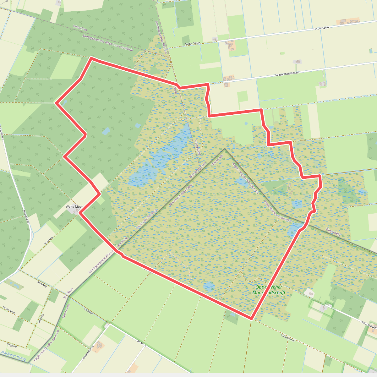 Rundwanderweg Oppenweher Moor I
