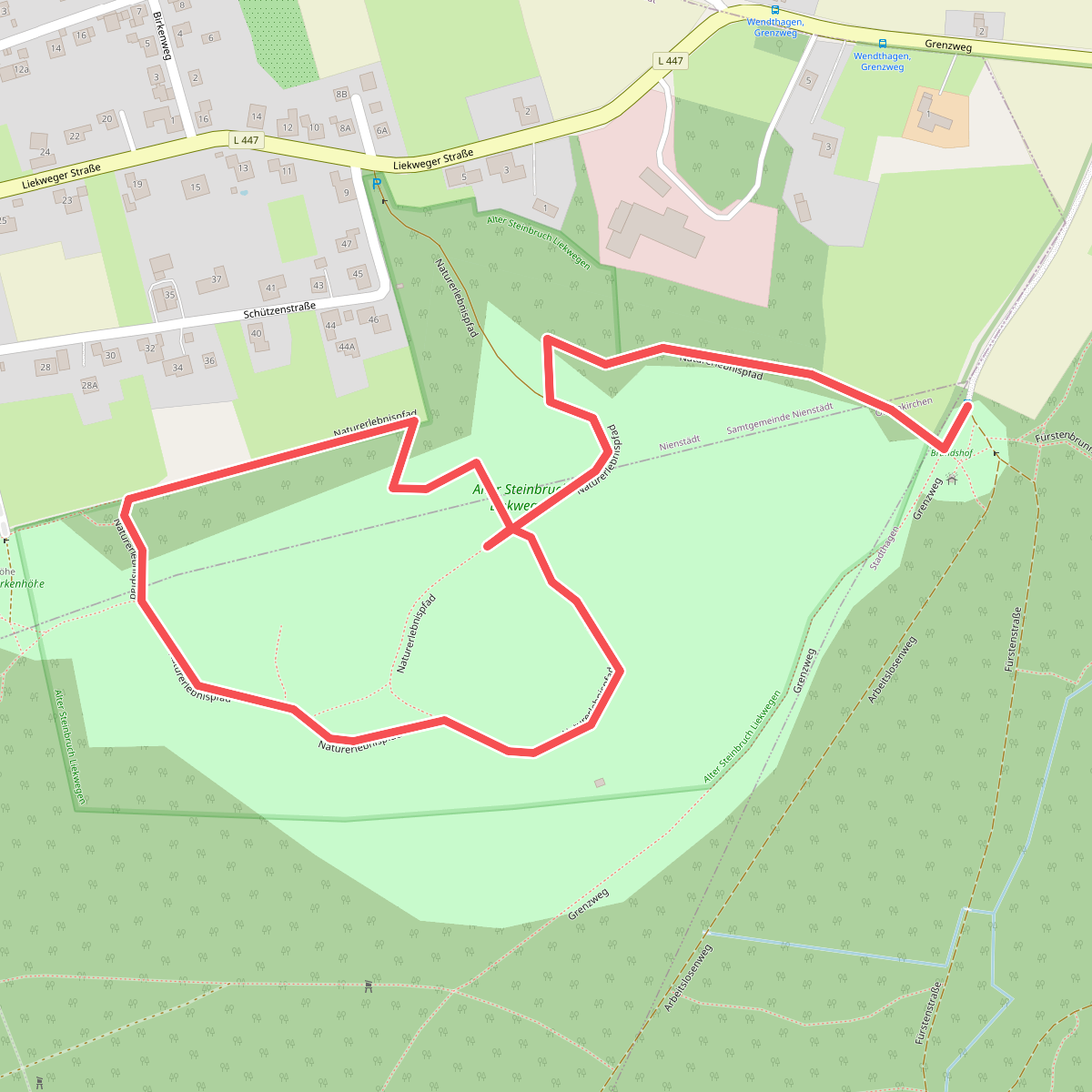 Naturerlebnispfad Steinbruch Liekwegen 2,3 km