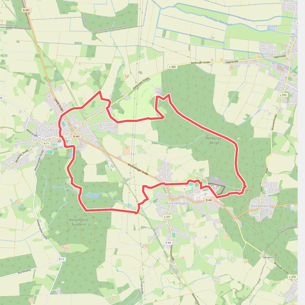 Waldblicke