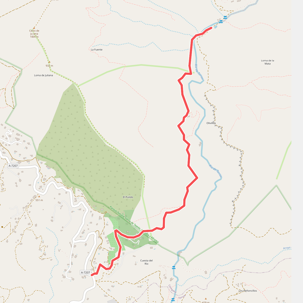 Ruta del Acebuchal