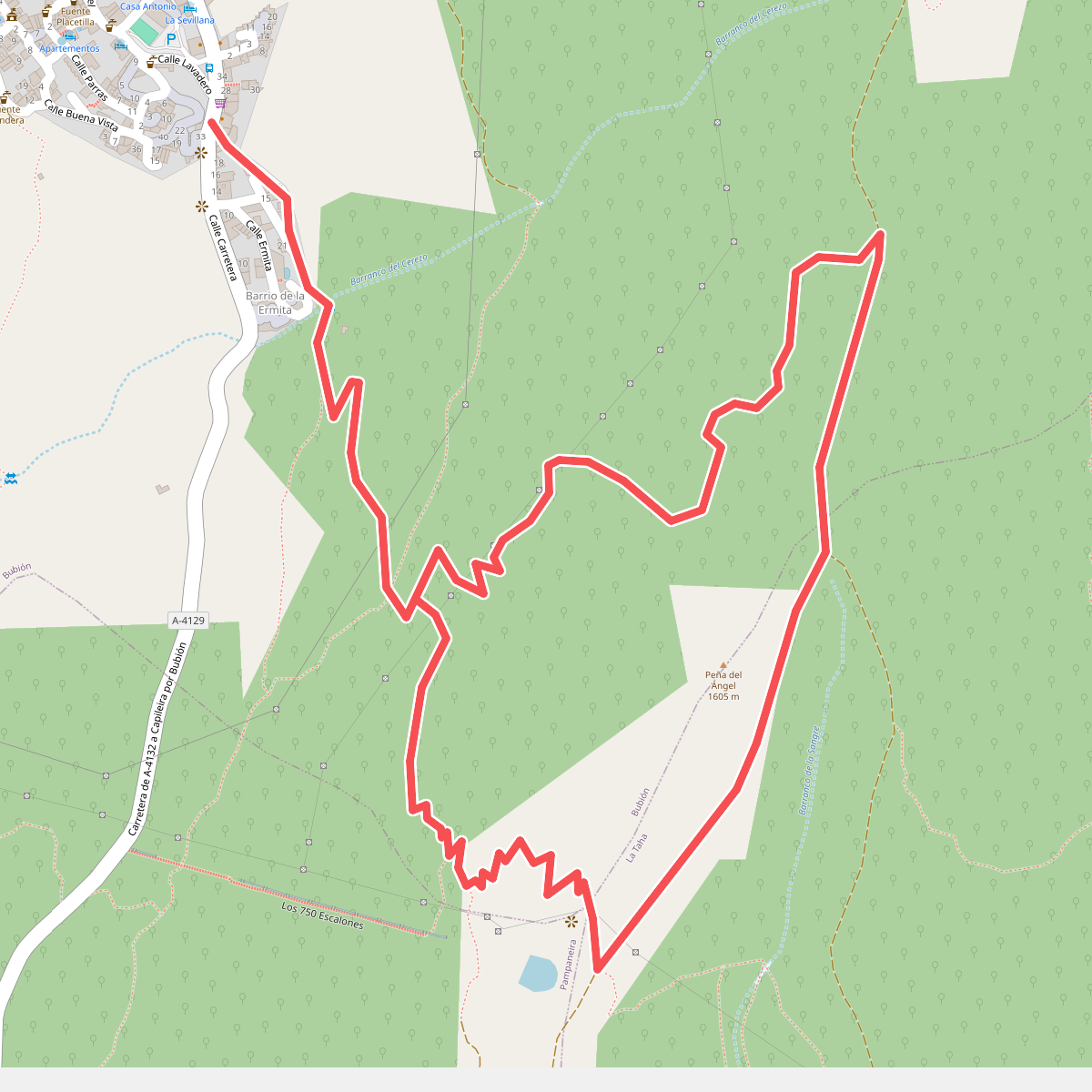 Sendero Monte Pecho "La Tala"