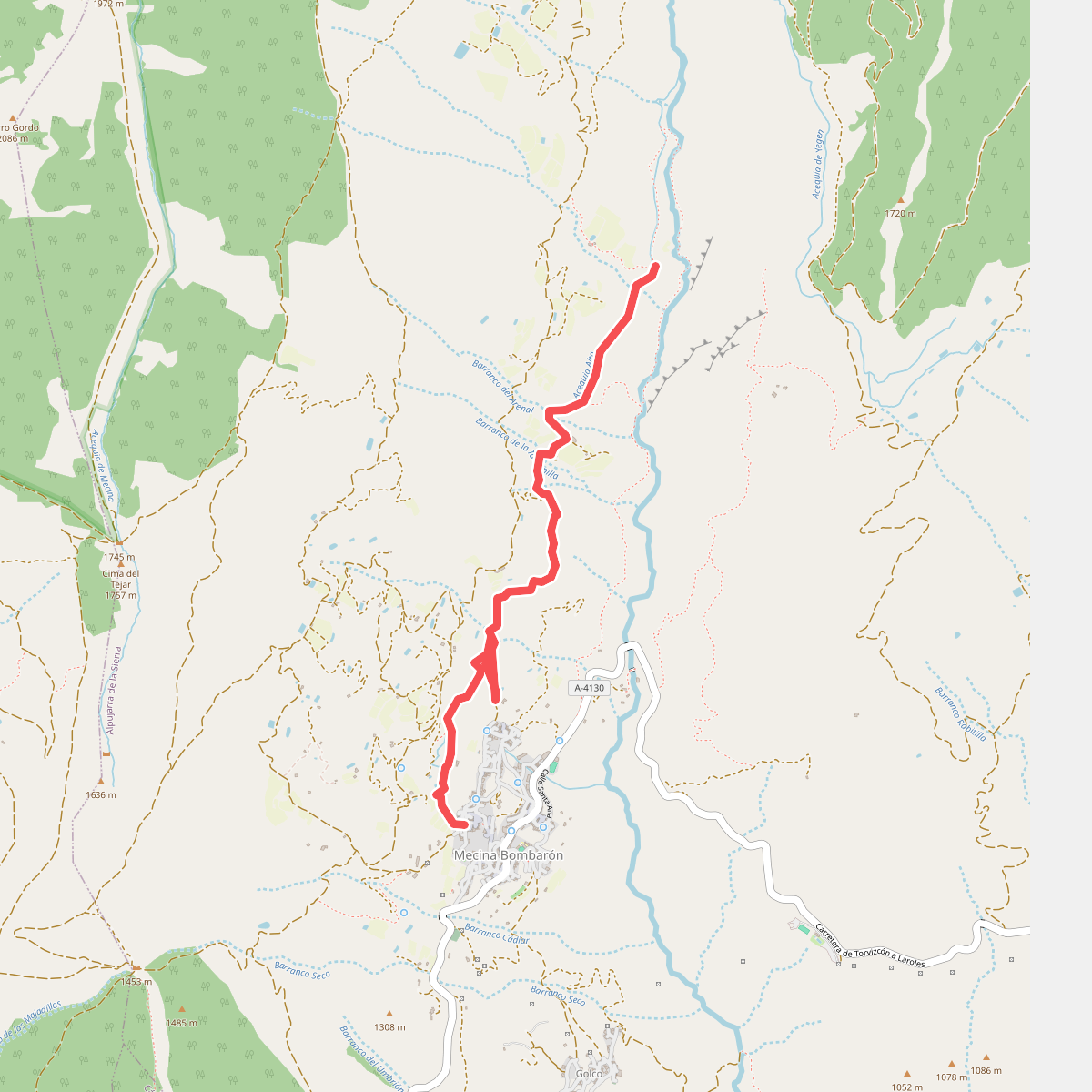 Acequia Alta