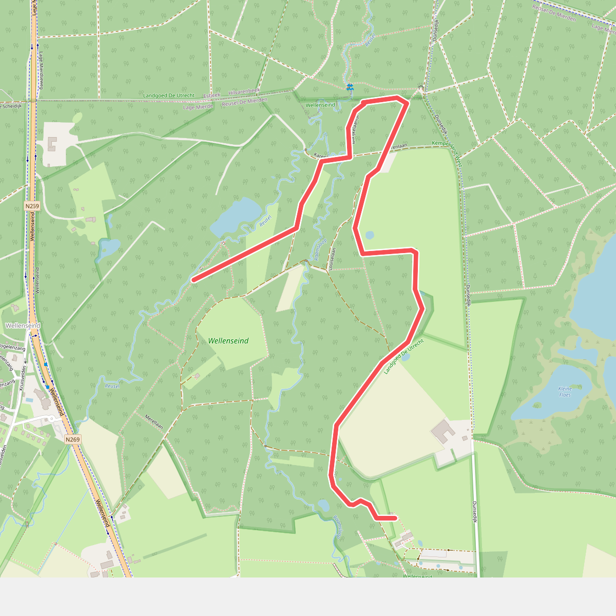 Bruine route wellseind