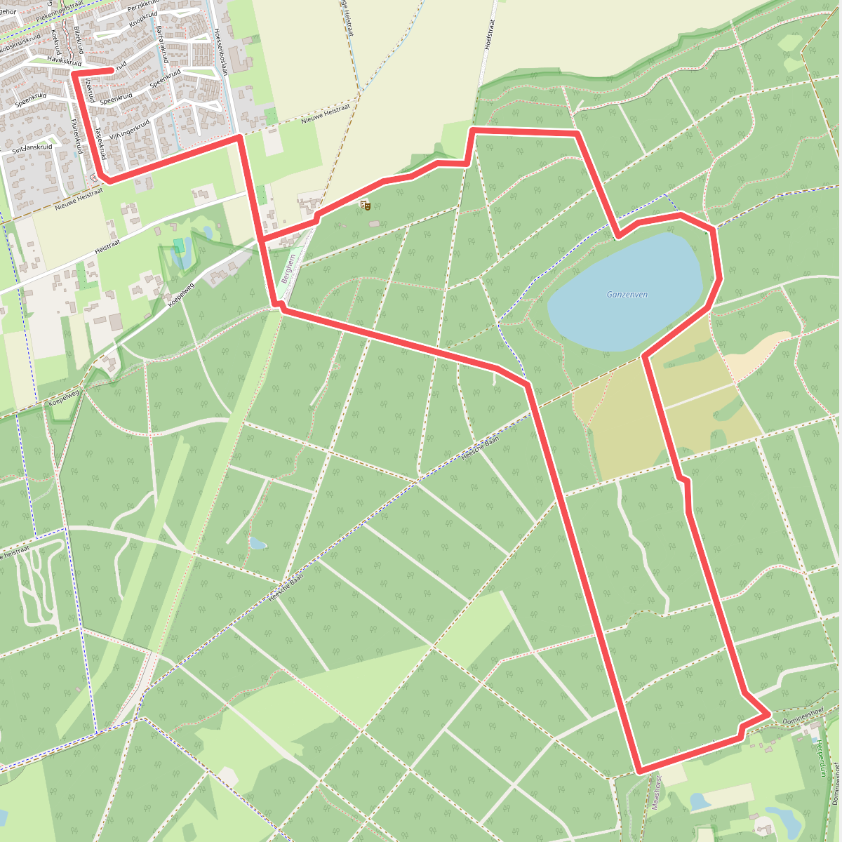 Rondje paarse heide ganzenven