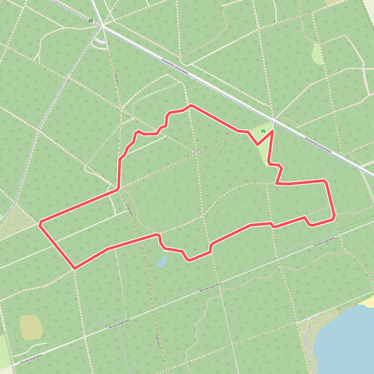 Gasselterveld Boswandeling