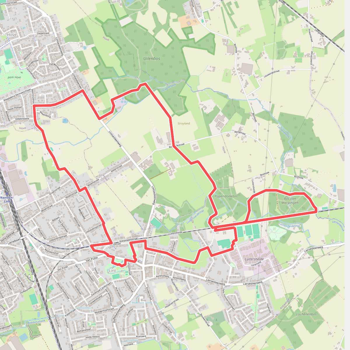 Bosbeemdenpad