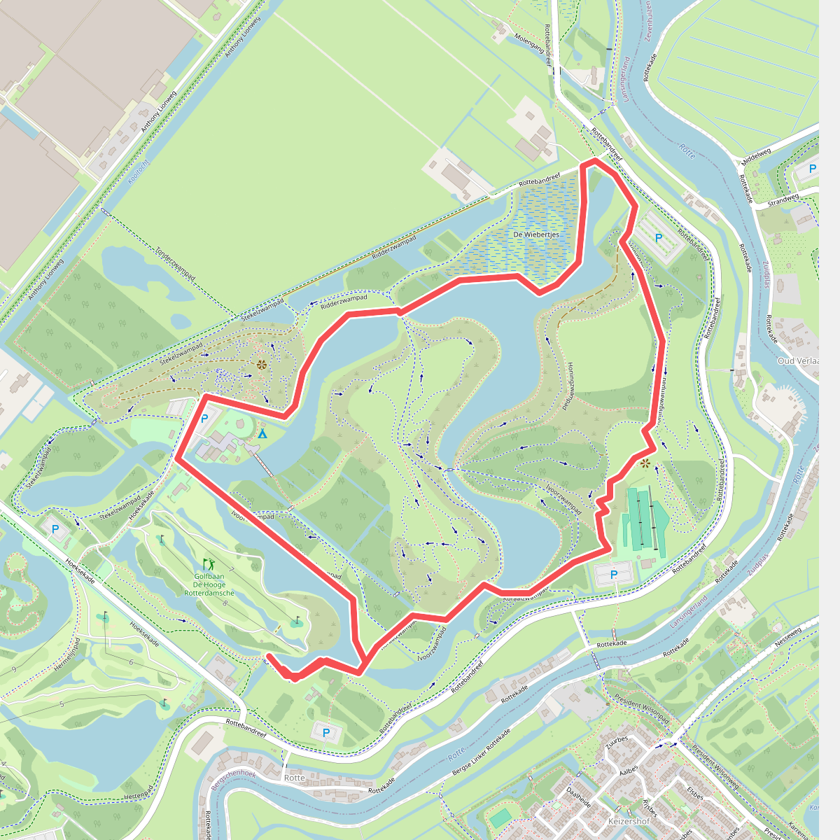 Wandelen door het Hoge Bergse Bos