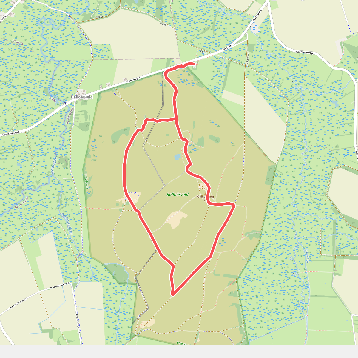Boswachterspad Ballooërveld verkort