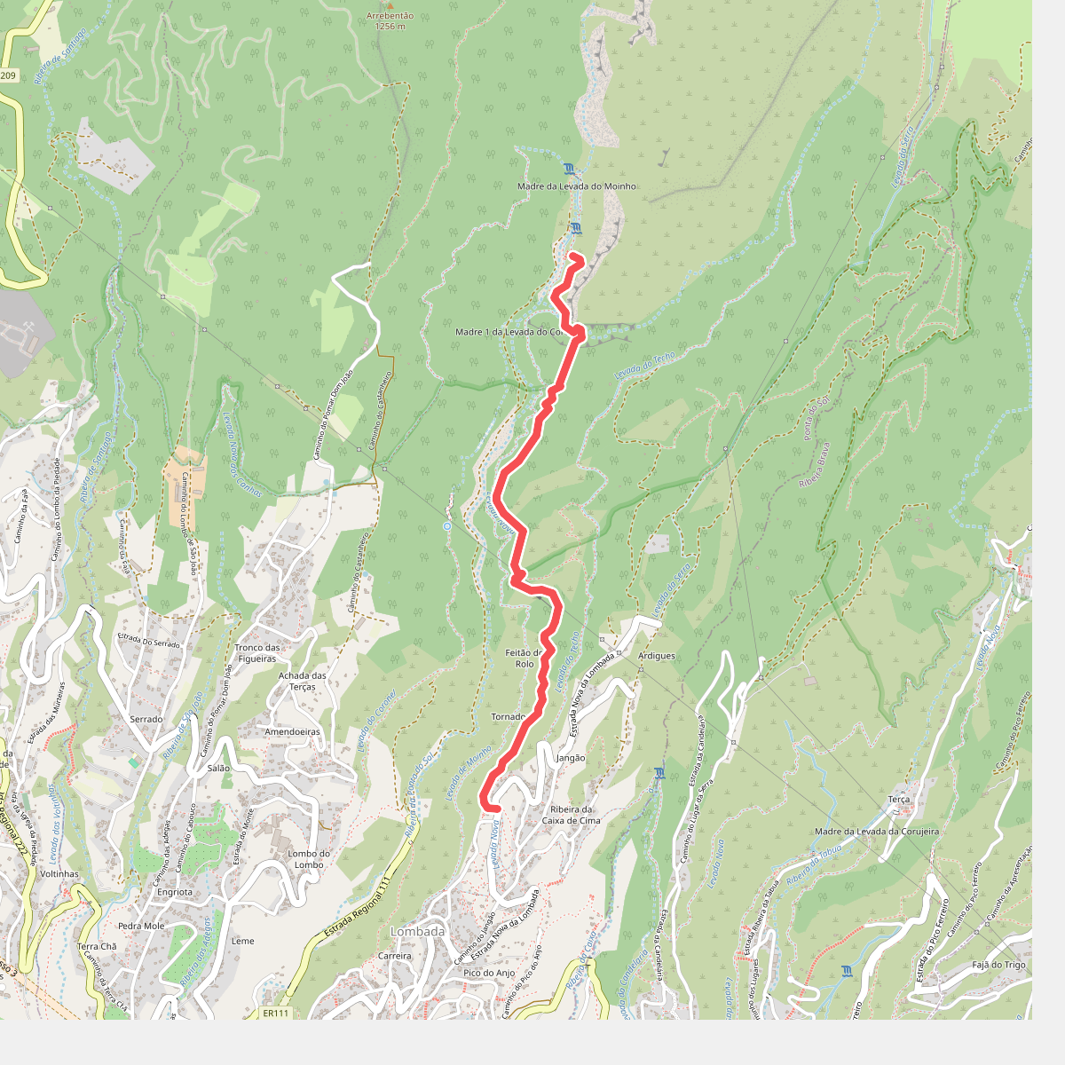 Levada Nova dos Canhas