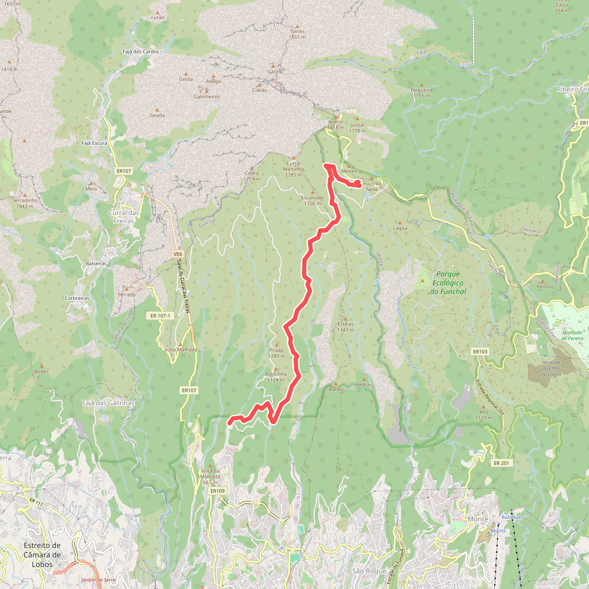 Levada da Negra