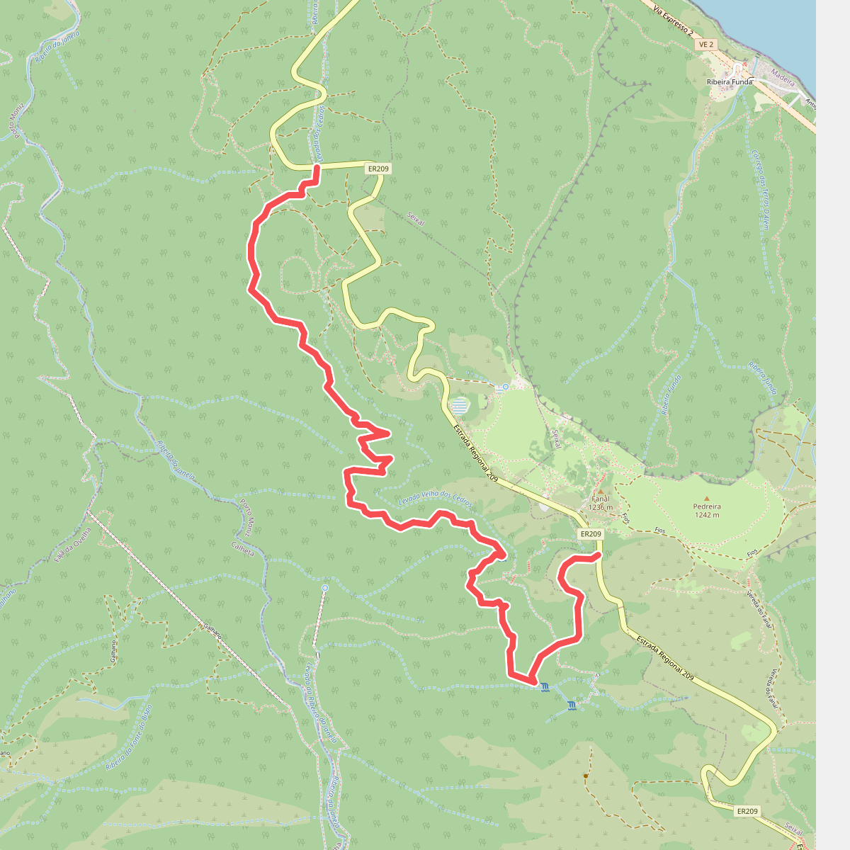 PR 14 - Levada dos Cedros