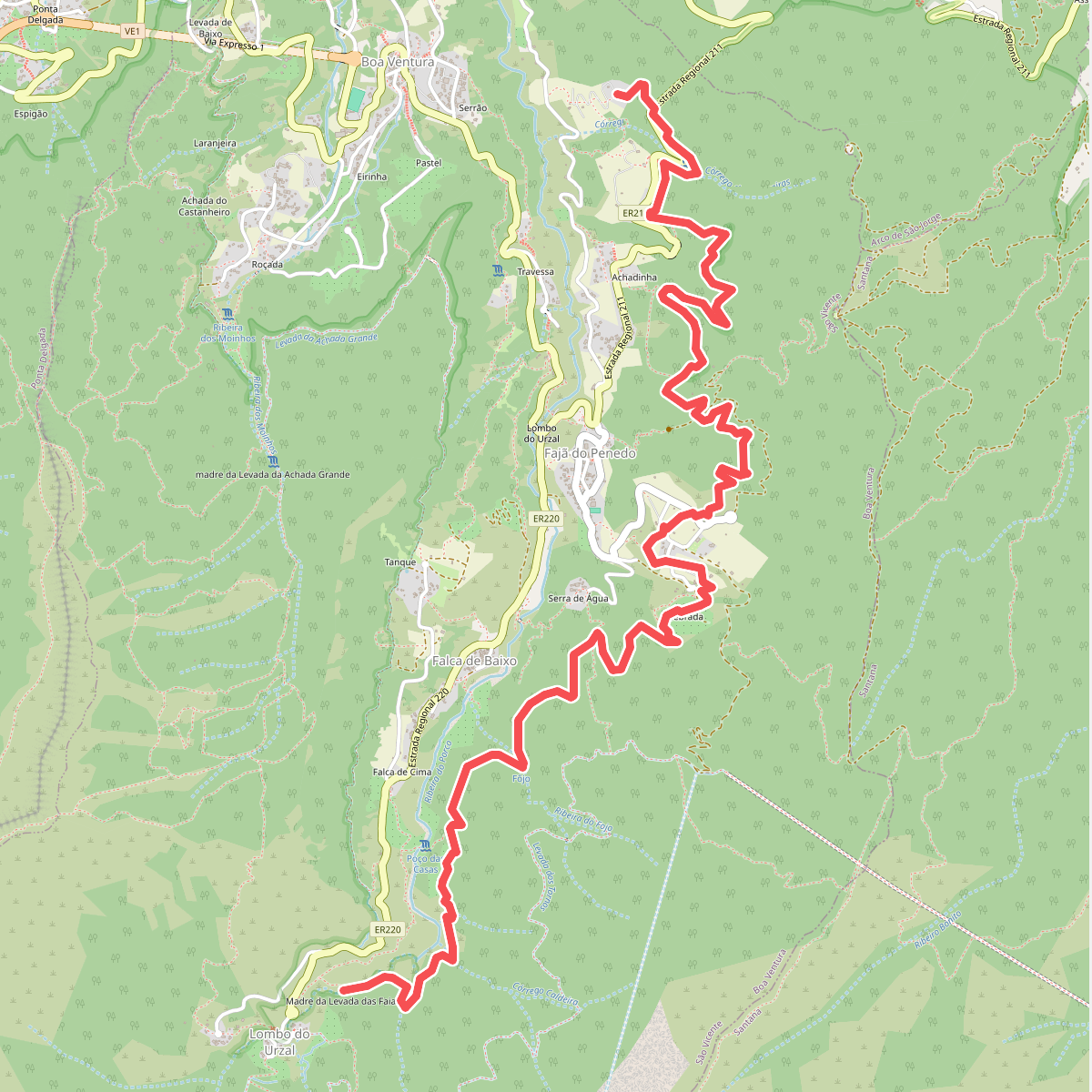 Levada das Faias