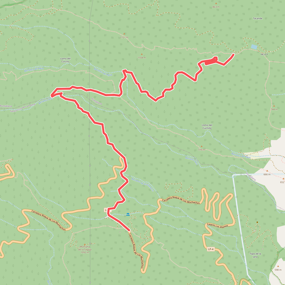 Wanderweg LP 3.1 nach Wanderweg LP 4