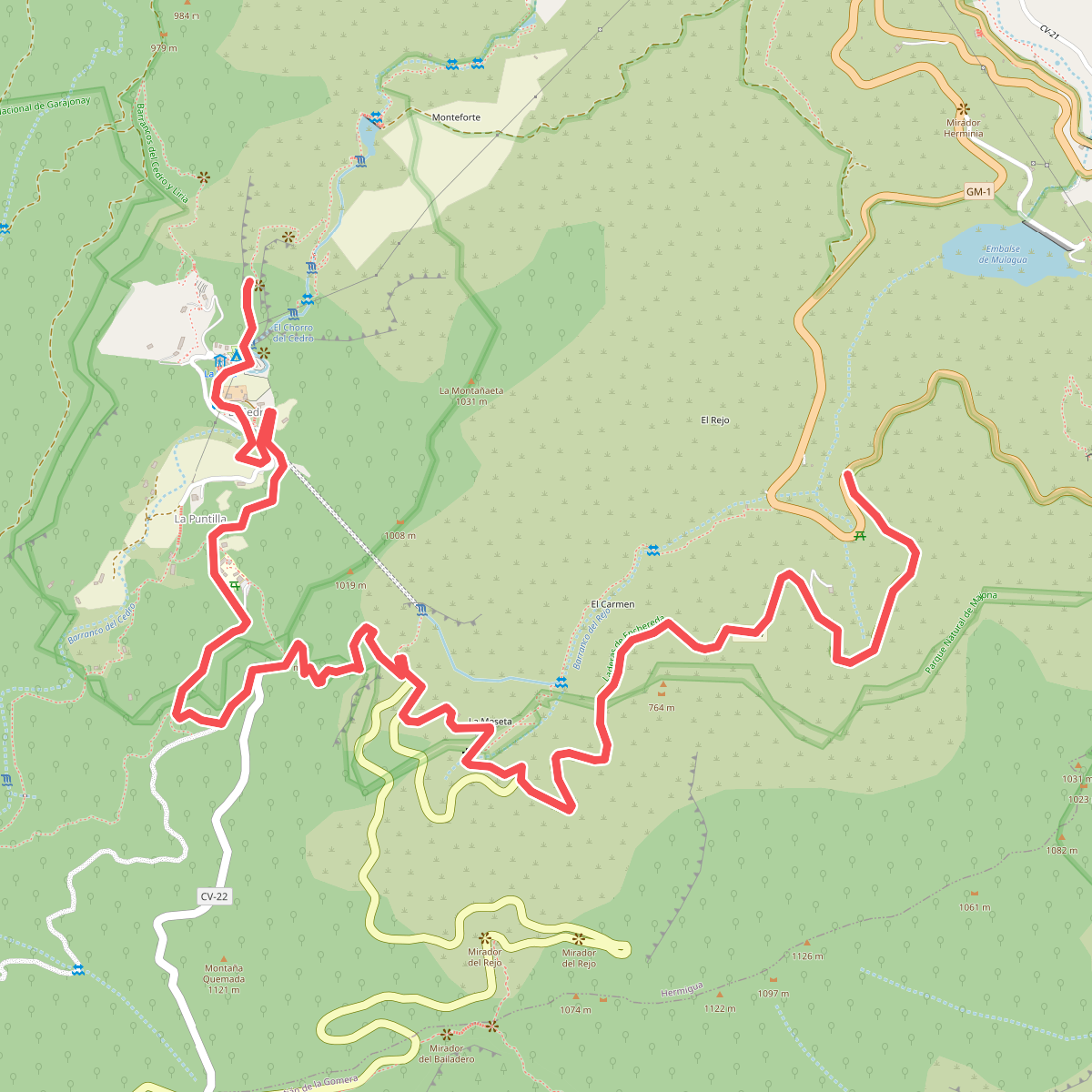 Ruta 11: La Meseta de Hermigua - Chorro del Cedro