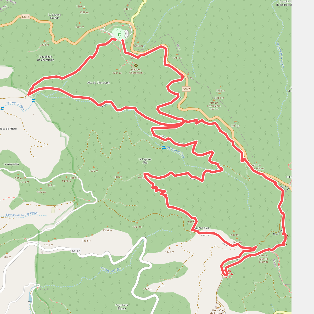 Ruta 14: Laguna Grande - Alto de Garajonay