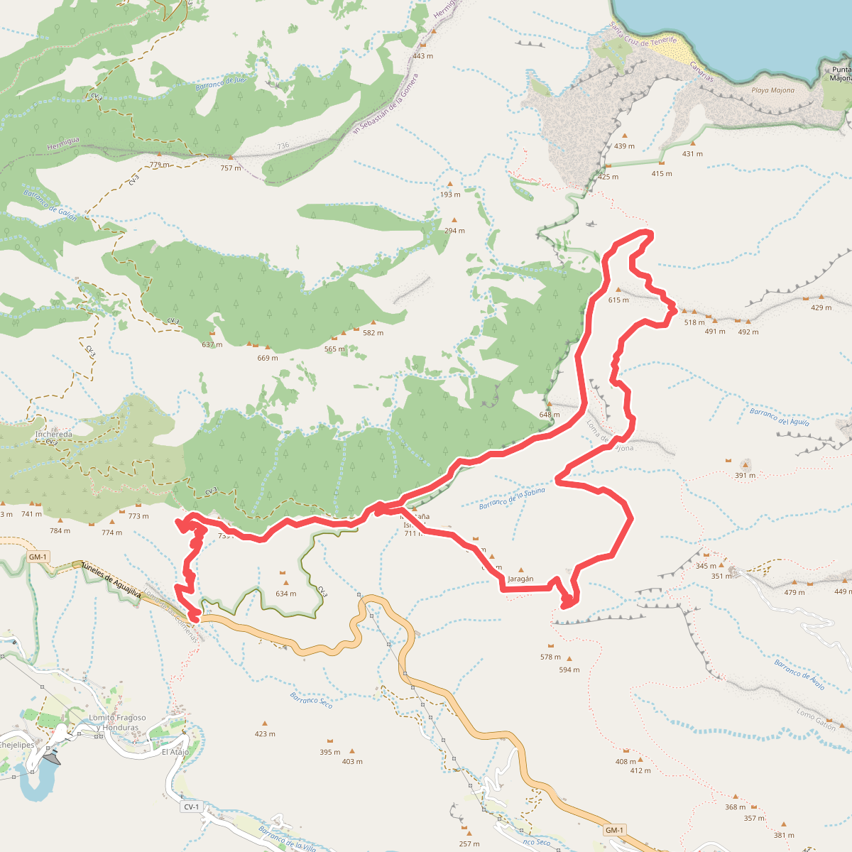 Ruta 31