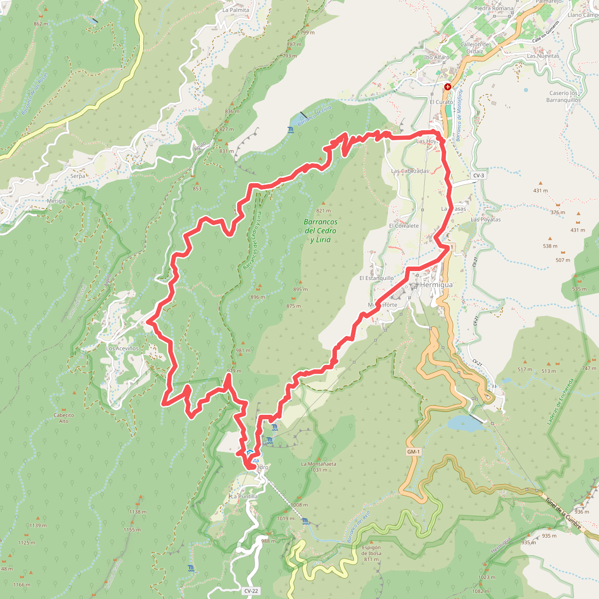 Ruta 37: Hermigua - El Cedro - Los Acevinos - Hermigua
