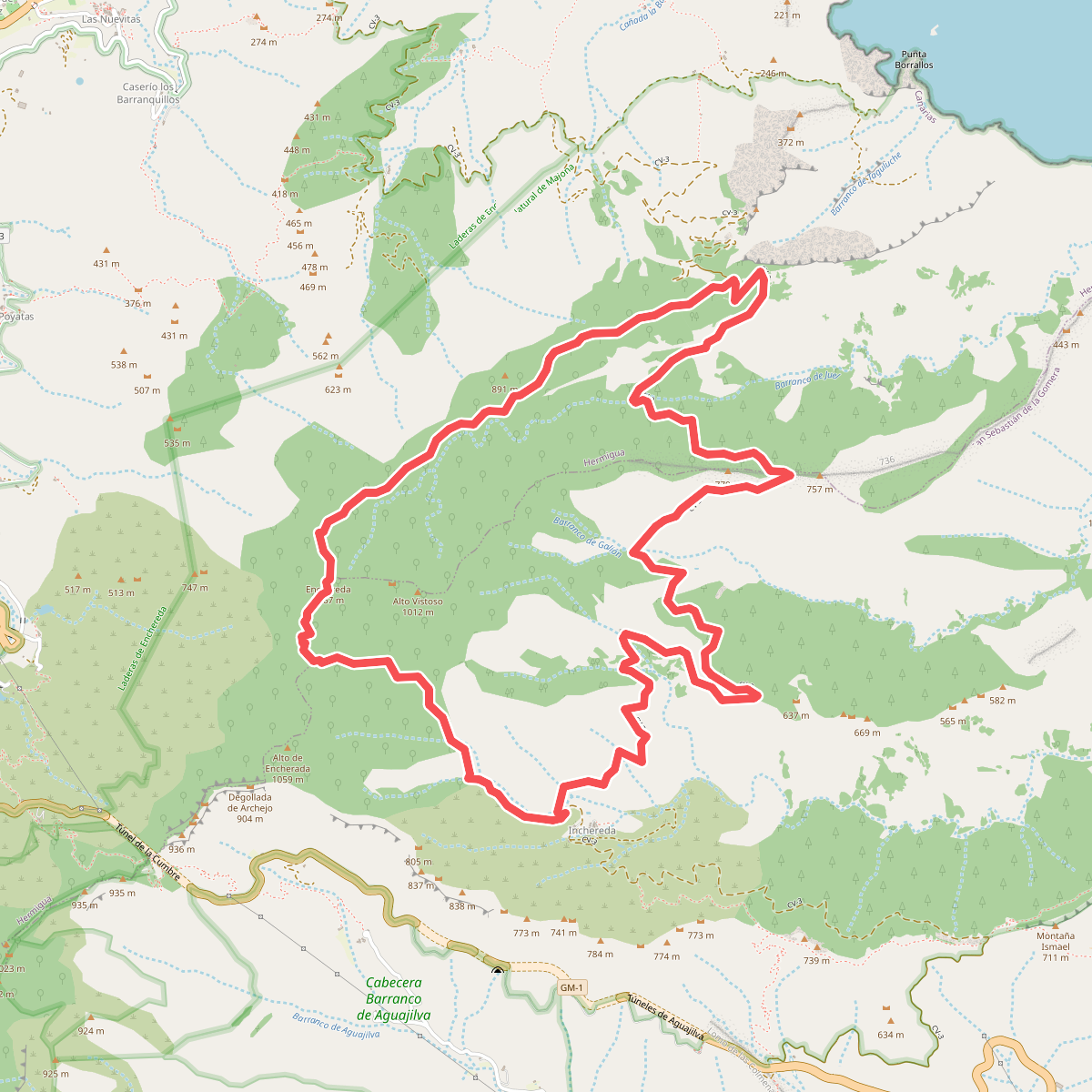 Ruta 41