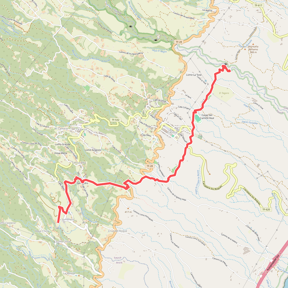 Camino Real de Fasnia