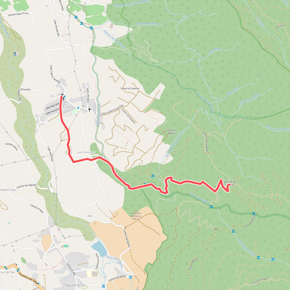 Llano de los Corrales - Pinolere