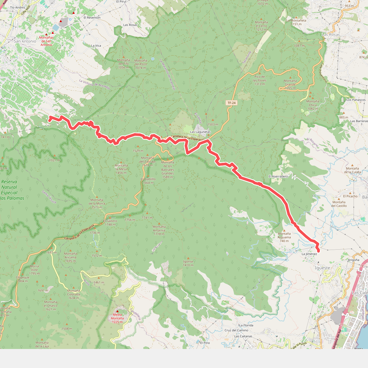 Camino de Candelaria de la Victoria
