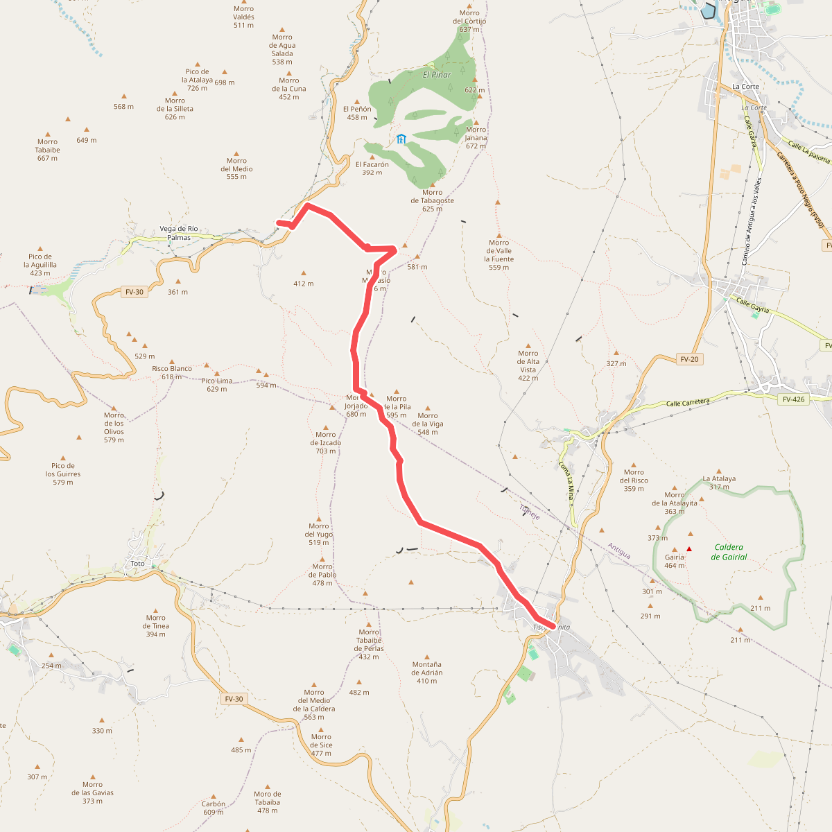 Tiscamanita - Vega del Río Palmas